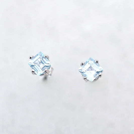 Princess November Birthstone Blue Topaz Earring